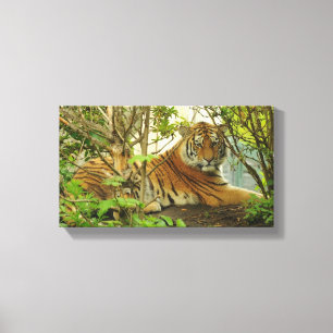 Tiger im Wald Leinwanddruck