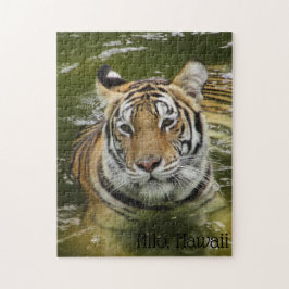 Tiger im Wasser