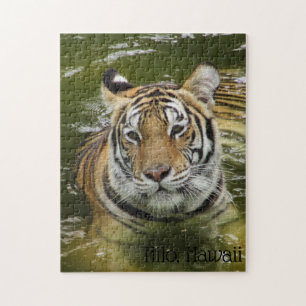 Tiger im Wasser