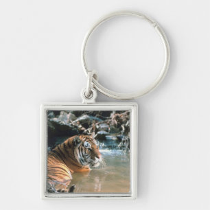 Tiger im Wasser Schlüsselanhänger