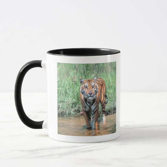 Tiger im Wasser Tasse (Links)