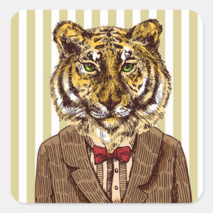 Tiger in der Abends-Abnutzung Quadratischer Aufkleber