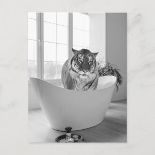 Tiger in der Badewanne Schwarz Weiß Badezimmer Kun Postkarte