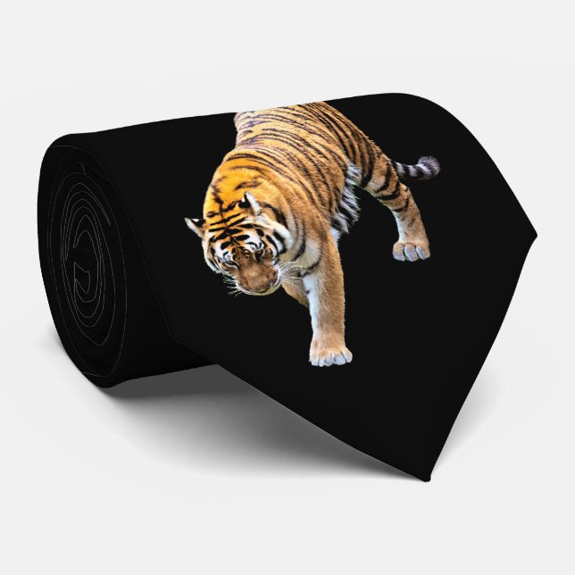 TIGER IN IHRER RICHTUNG KRAWATTE (Gerollt)