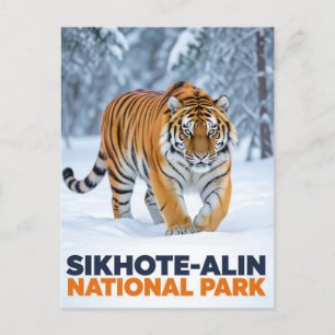 Tiger in Sikhote Alin Nationalpark Russland Postkarte