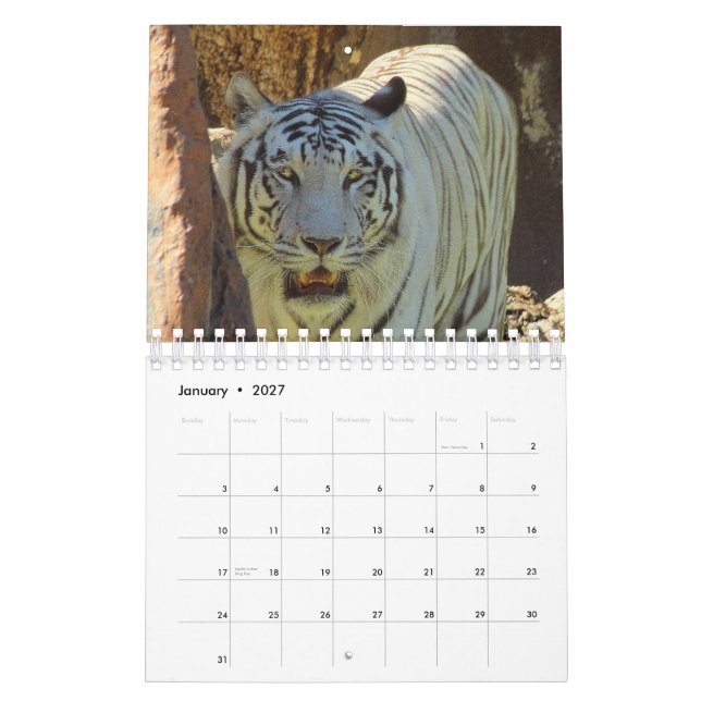 Tiger Kalender (Jan 2027)