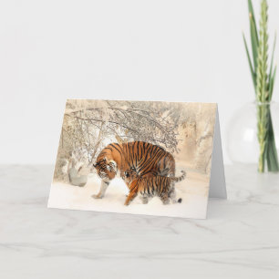 Tiger Karte