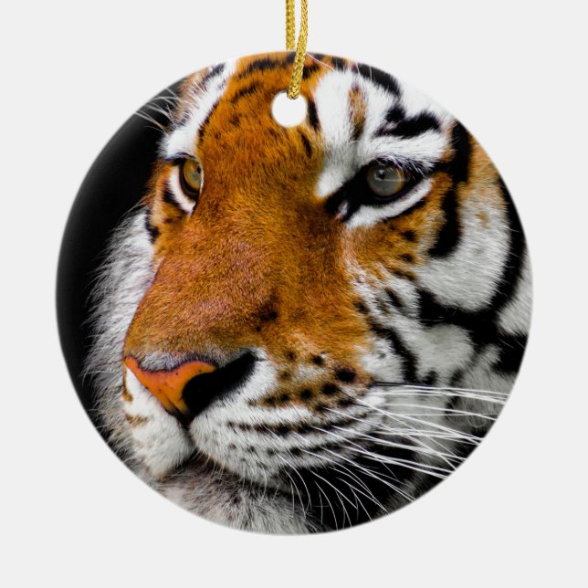 Tiger Keramikornament (Vorne)