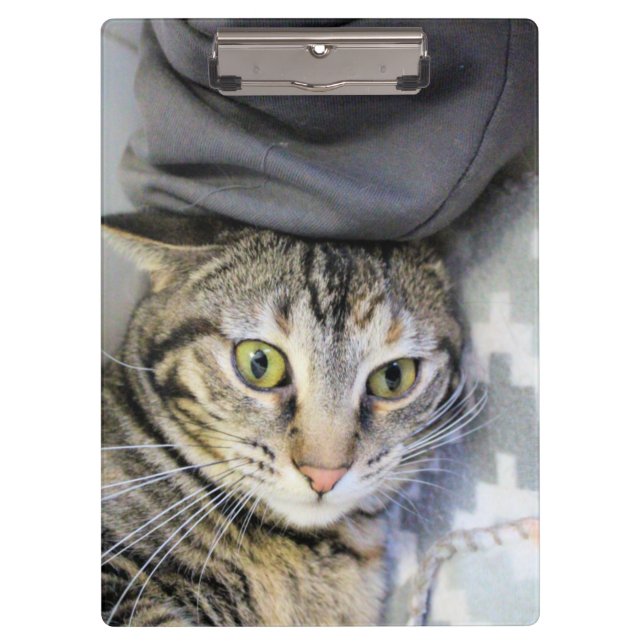 Tiger Klemmbrett (Vorderseite)