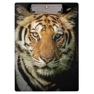 Tiger Klemmbrett
