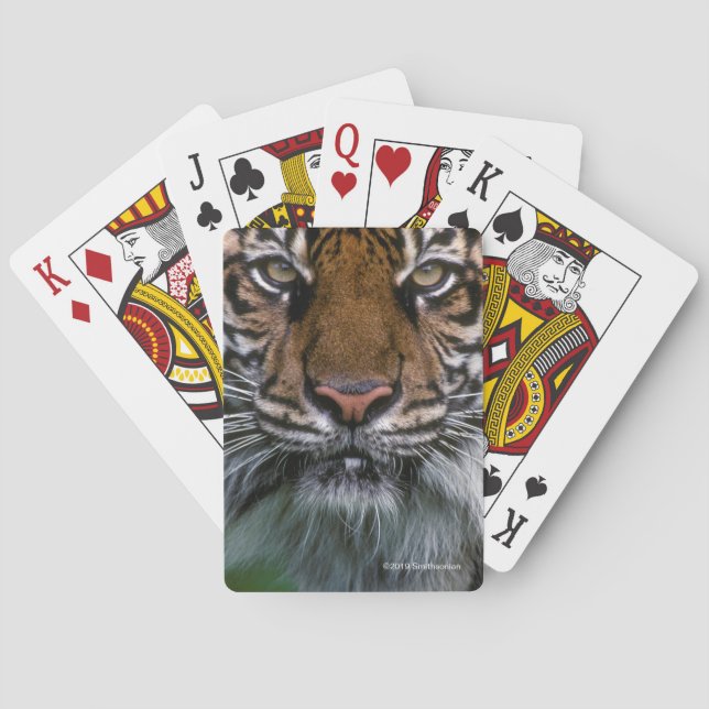 Tiger-Kopf und Gesicht Spielkarten (Rückseite)