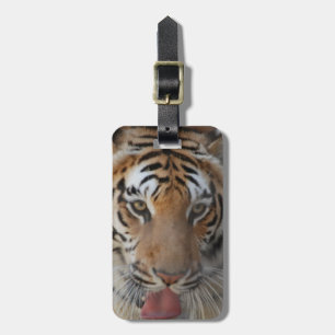 Tiger Küsse Gepäckanhänger