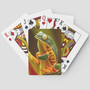 Tiger-Leg-Affenfrosch Spielkarten