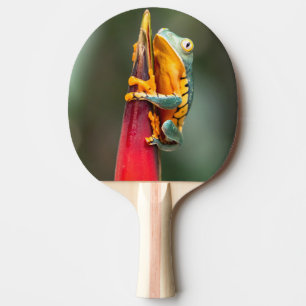Tiger Leged Monkey Tree Frog Green Orange Tischtennis Schläger