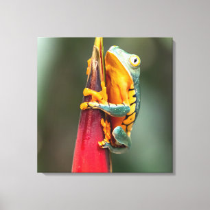 Tiger-Legende-Affenbaum-Frosch-grüne Orange Leinwanddruck