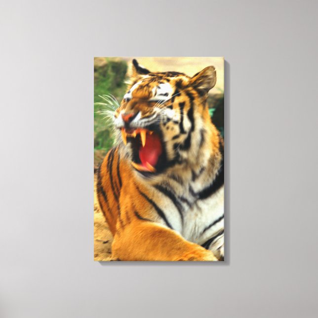 Tiger Leinwanddruck (Vorderseite)