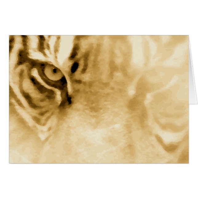 ,Tiger Liebe_ (Vorderseite (Horizontal))