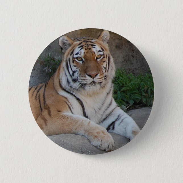 Tiger-Liebe Button (Vorderseite)