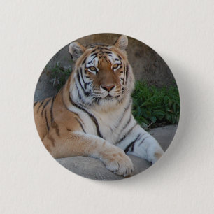 Tiger-Liebe Button