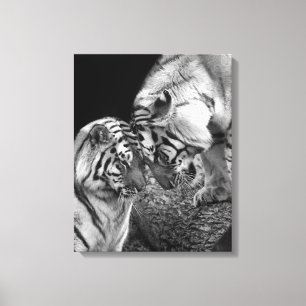 Tiger-Liebe-Foto auf Leinwand-Verpackung Leinwanddruck
