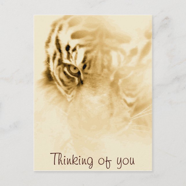 ,Tiger Liebe_ Postkarte (Vorderseite)
