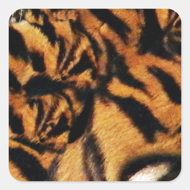 Tiger-Liebe_ Quadratischer Aufkleber (Vorderseite)