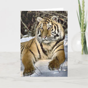 Tiger-Liebhaber-Kunst-Geschenke Karte