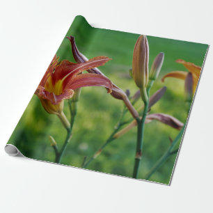 Tiger-Lilien Geschenkpapier