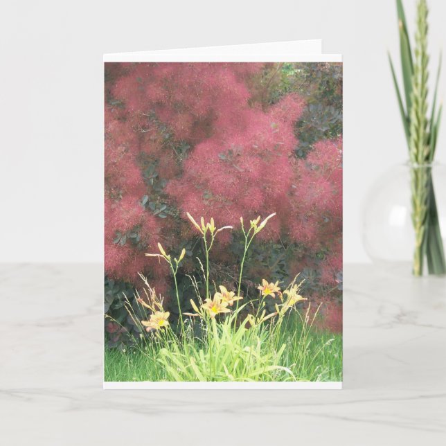 Tiger-Lilien und Smoketree Karte (Vorderseite)