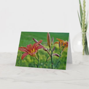 Tiger Lilies Karte