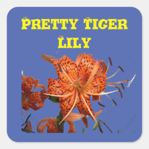 Tiger Lilies klebte auf blauer Liebe für einen Fil Quadratischer Aufkleber