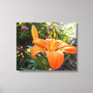 Tiger Lily Canvas Print Leinwanddruck