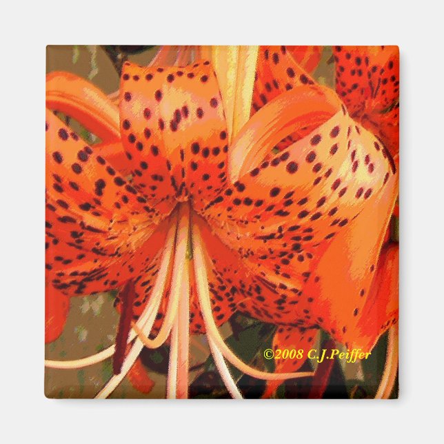 'Tiger Lily' Magnet (Vorne)