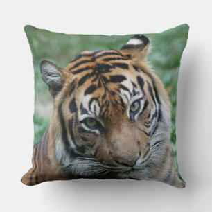 Tiger links und Recht 002 Kissen