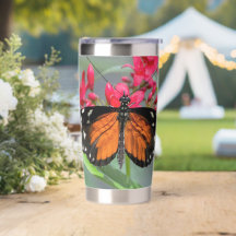 Tiger Longwing auf roten Blumen ruhend