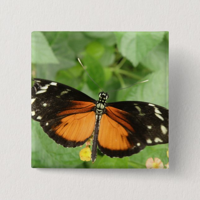 Tiger Longwing Butterfly Button (Vorderseite)