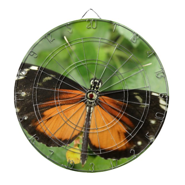 Tiger Longwing Butterfly Dart Board Dartscheibe (vorne)