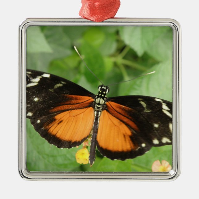 Tiger Longwing Butterfly Ornament (Vorne)