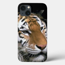 Tiger Lovers iPhone 13 Hülle