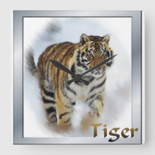 Tiger Lovers Kunst Quadratische Wanduhr
