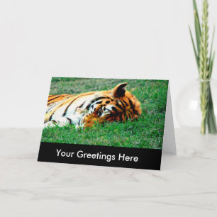 Tiger Lutsche leere Grußkarte Karte