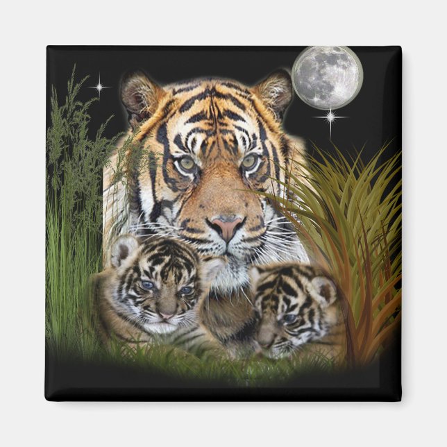 Tiger Magnet (Vorne)
