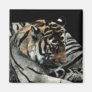 Tiger-Magnet #2 - "schlafende Muster " Magnet