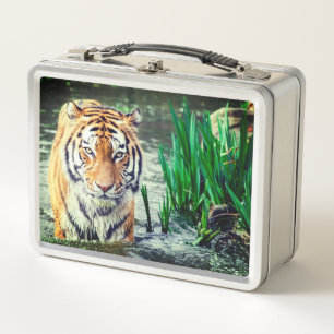 Tiger Metall Brotdose