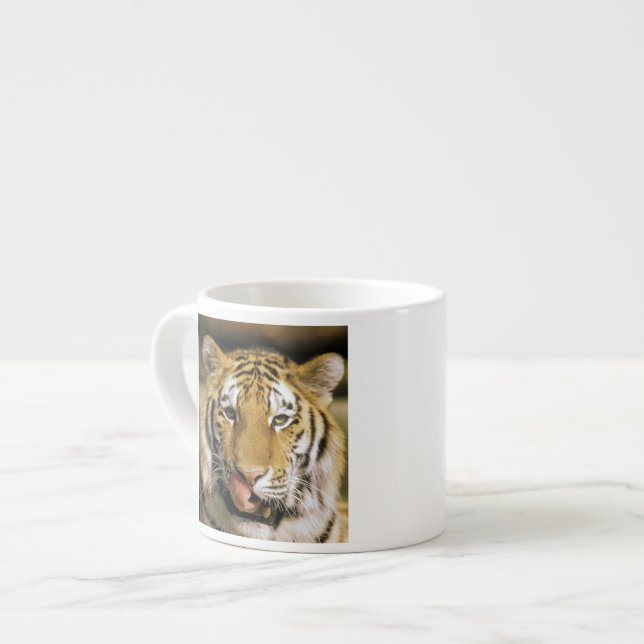 Tiger Michigan Zoo Espressotasse (Vorderseite Links)