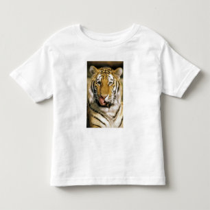 Tiger Michigan Zoo Kleinkind T-shirt
