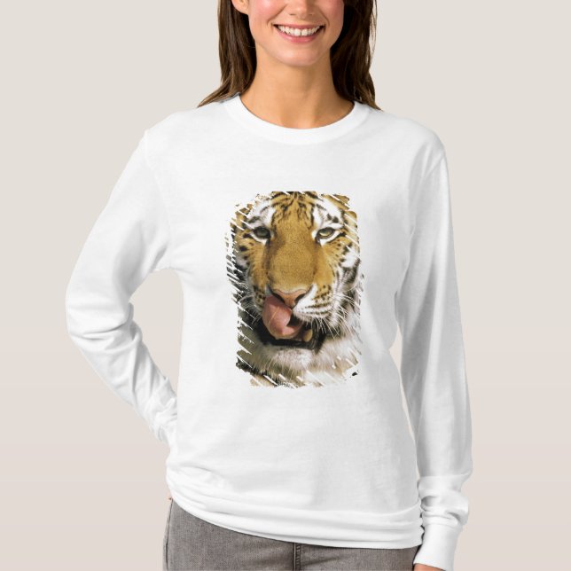 Tiger Michigan Zoo T-Shirt (Vorderseite)