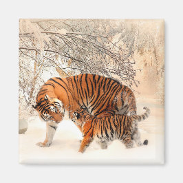 Tiger mit Kuh im Winter Schnee Magnet