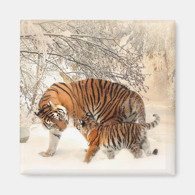 Tiger mit Kuh im Winter Schnee Magnet (Vorne)