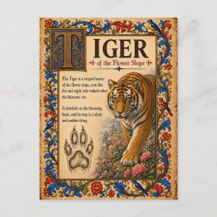 Tiger, mittelalterliche Bestiarien-Kunst Postkarte